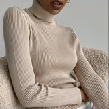 Basic Ribbed Cotton Turtleneck Sweaters watereverysunday