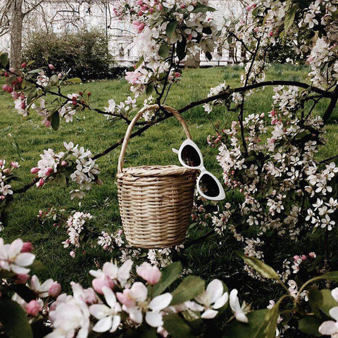 Bohemian Jane Birkin Style Wicker Straw Mini Basket Bag