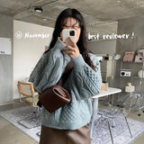 Nila Cute Crossbody Camera Fanny Bags