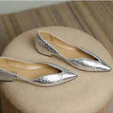 Portia Pointed Toe Flats