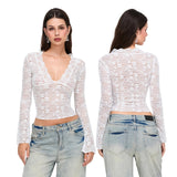 Sachi Sexy V-Neck Lace Crop Top