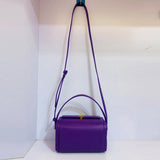 Samara Box Mini Shoulder Bag