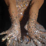 Noelia Luxe Rhinestones Mesh Gloves