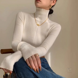 Mariana Turtleneck Sweater Knit Top 
