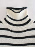 Clarice Stripe Turtleneck Sweater