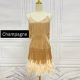 Teressa Feather Tassel Sequin Mini Dress